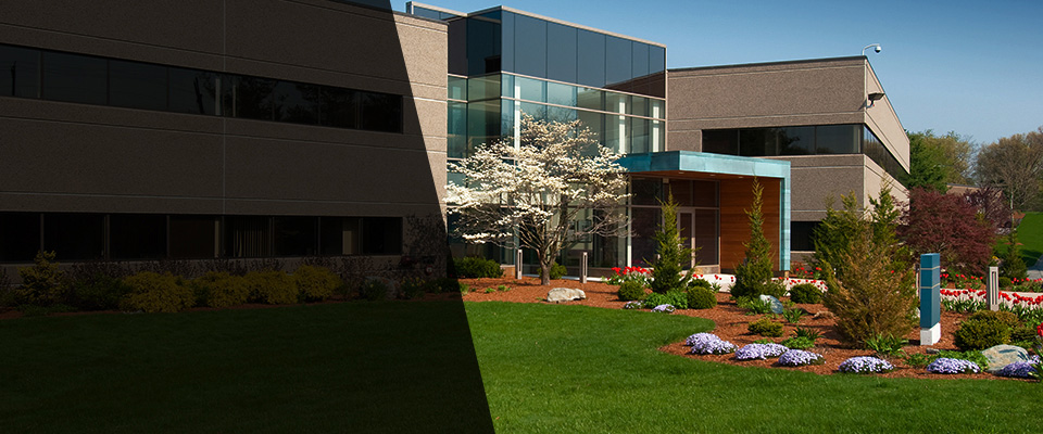 Minerva Landscapers