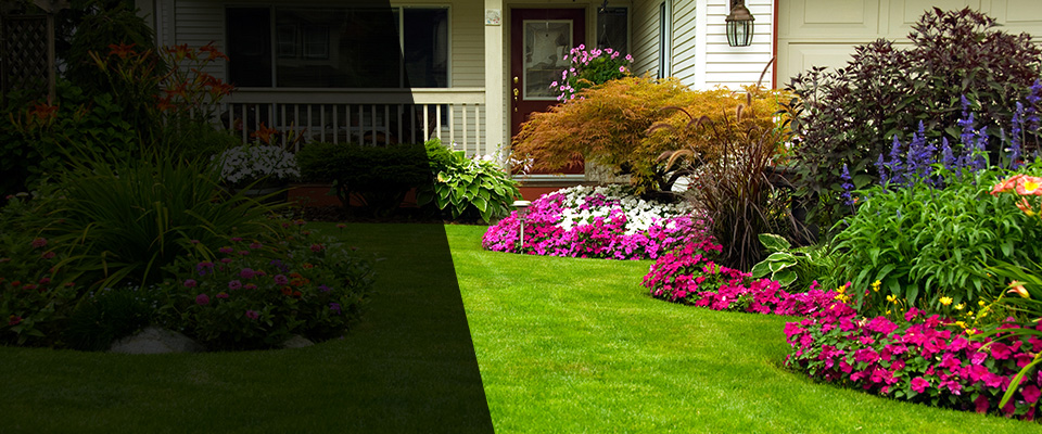 Minerva Landscapers