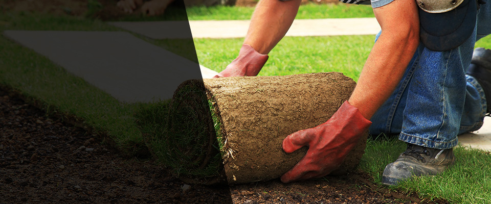 Minerva Landscapers